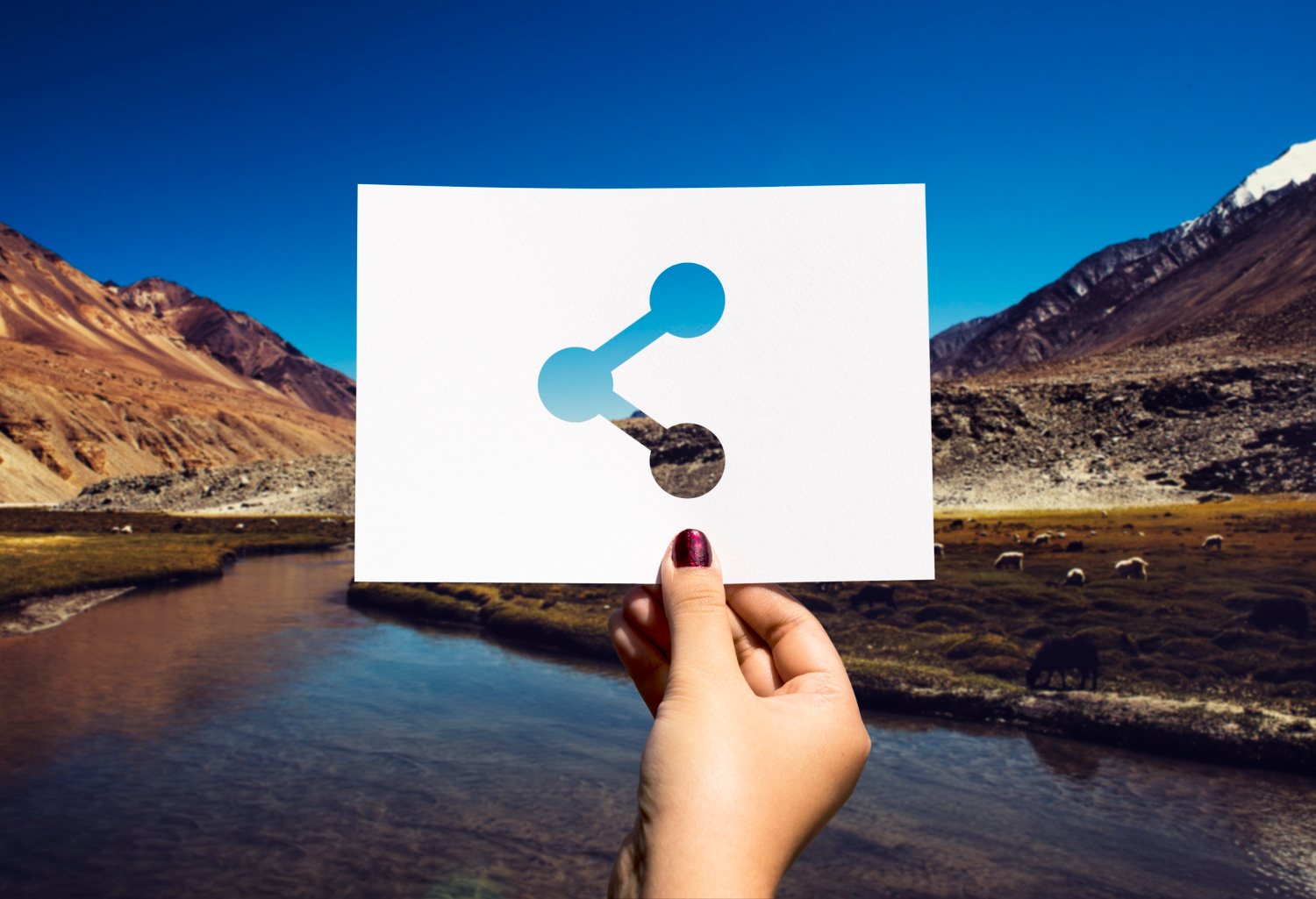 10 SendGrid Alternatives for Developers in 2026